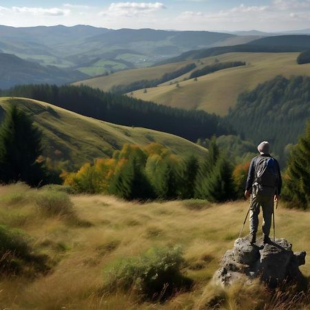 Ferienappartement Winterberg - Bikepark Um Die Ecke エクステリア 写真