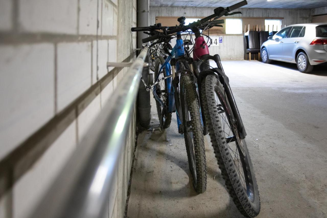 Ferienappartement Winterberg - Bikepark Um Die Ecke エクステリア 写真